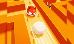image MarbleMaze