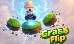 image Grass Flip