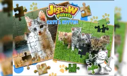 Jigsaw Puzzle Cats & Kitten