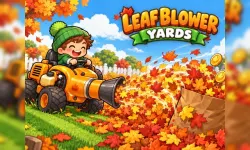 Leaf Blower Yards