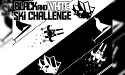 Black & white ski challenge