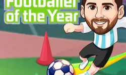 image Footballer of the Year
