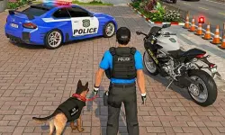image Police Car Chace