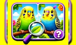 Budgie Spot the Difference