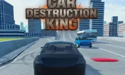 image Car Destruction King