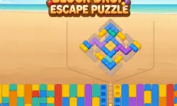 Block Drop Escape Puzzle